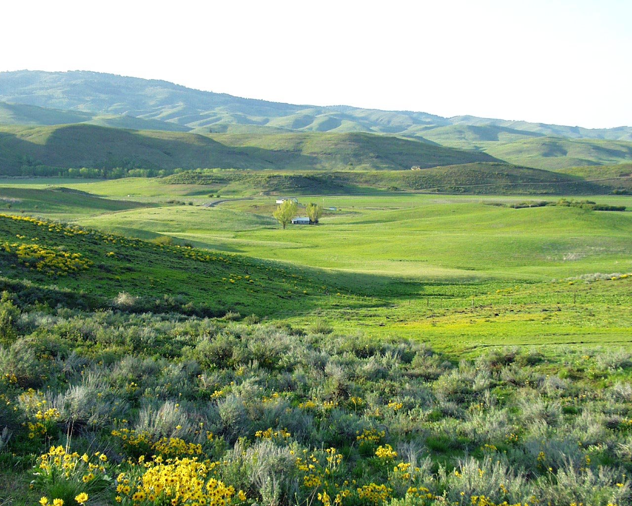 Cuddy Mountain Ranches