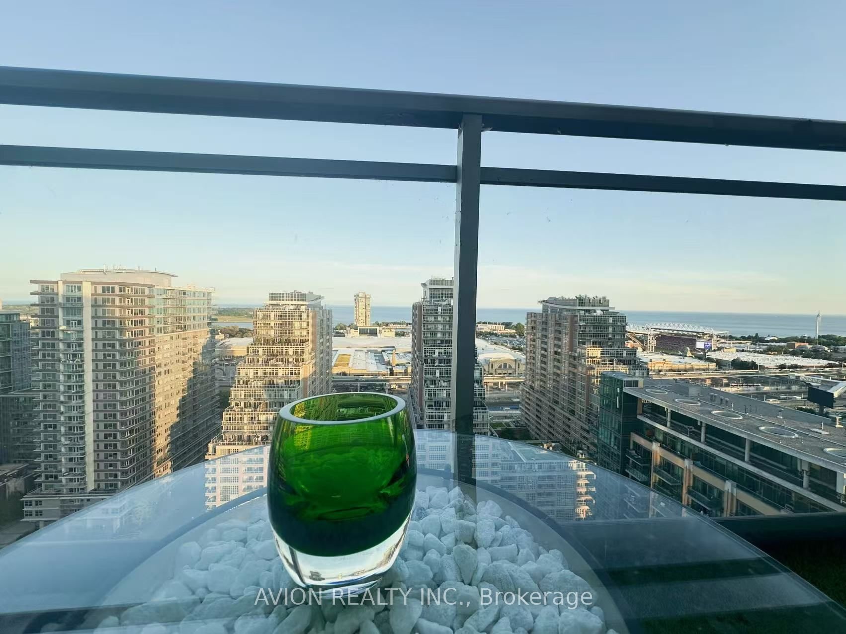 LIBERTY VILLAGE GOALS