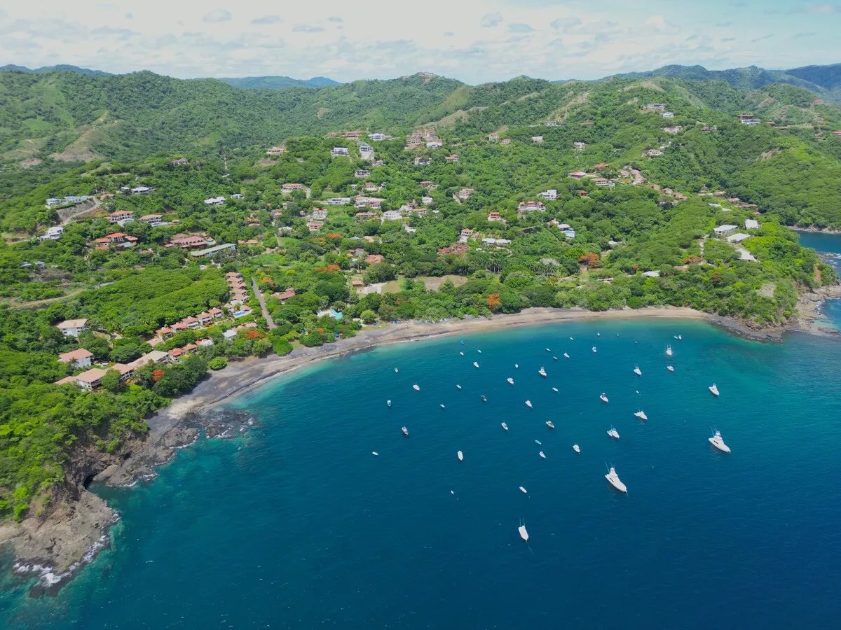 The Cove #6