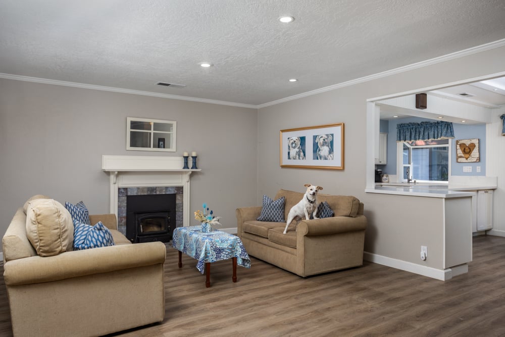 506 Shelly Dr