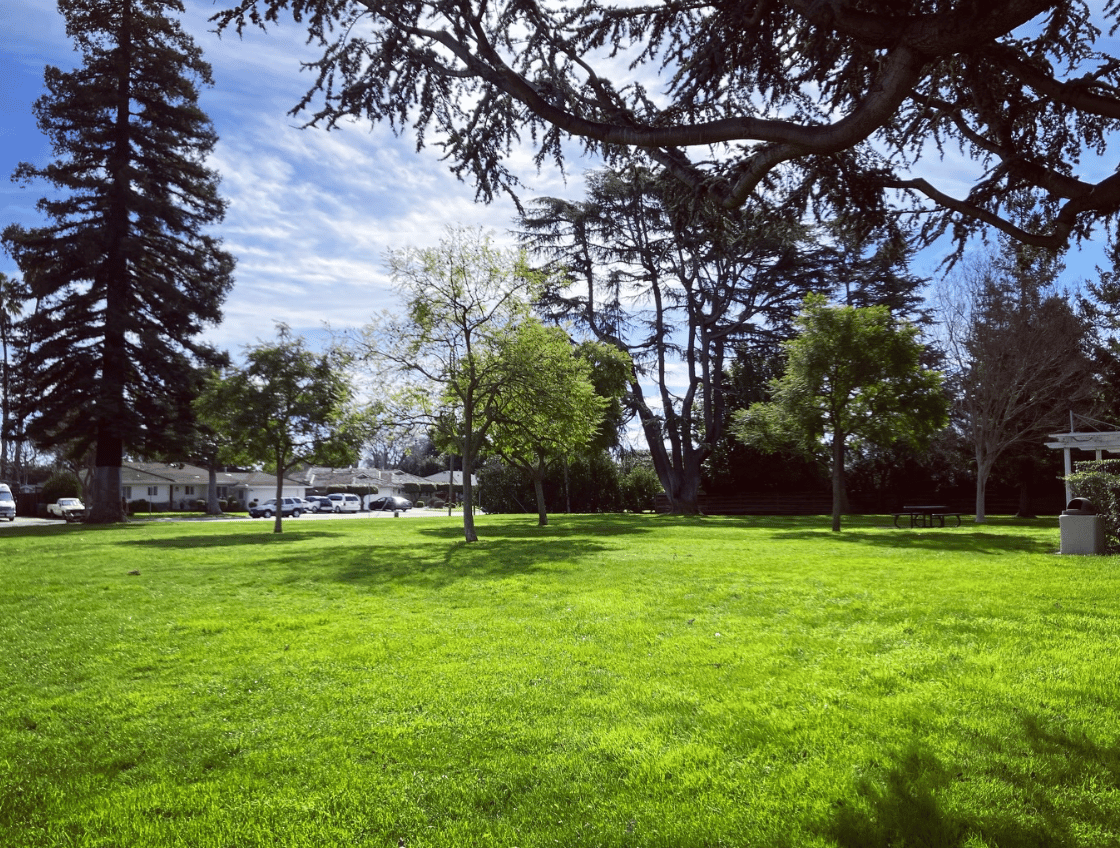 Neighborhood park with a wide green lawn, mature trees, and homes in the background.