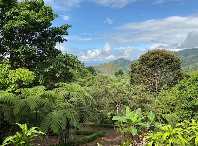 Build Amidst Untouched Jungle & Mountain Vistas | Ocean-View Estate with Fruit Orchards + Casita Design Your Vision in Tres Rios, Costa Rica