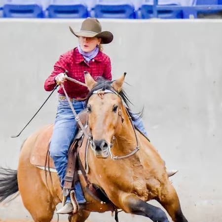 Jacquelyn Higgins Ruidoso, NM Real Estate Agent Headshot