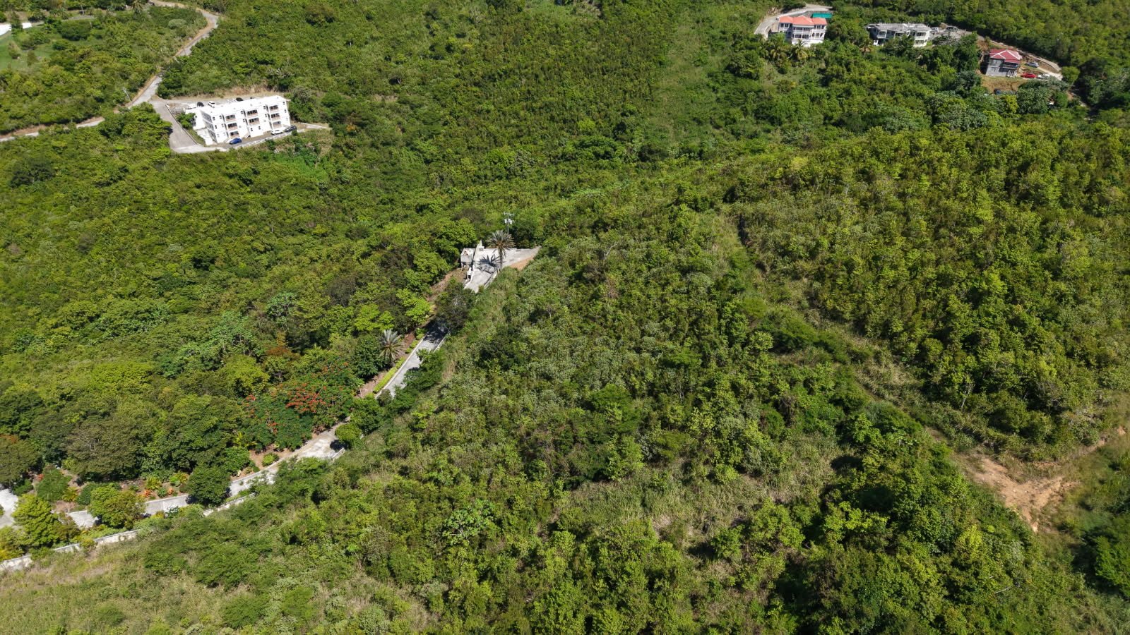 1070 Premium Lot in Fahie Hill