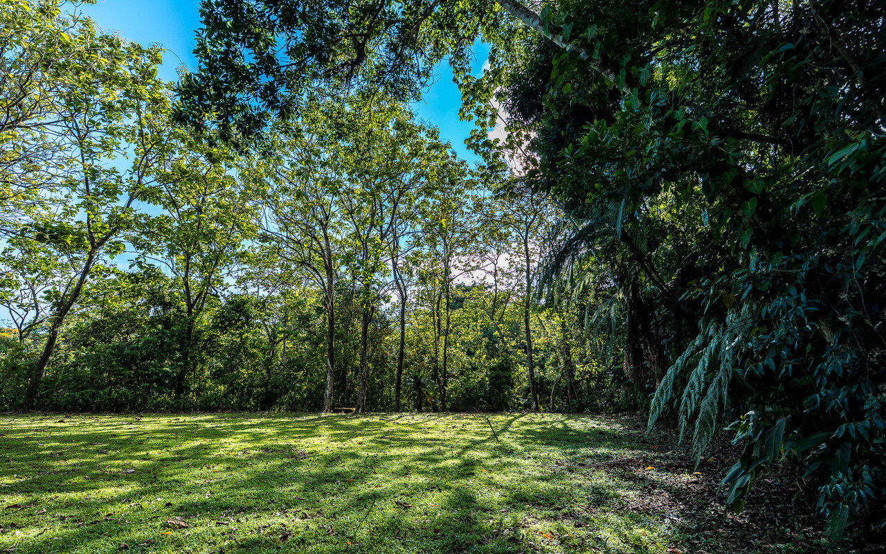 WHALE’S TAIL OCEAN VIEW ESTATE WITH EXTRA LOT 