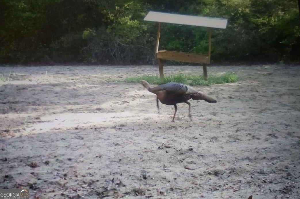 138 Eureka Church Rd