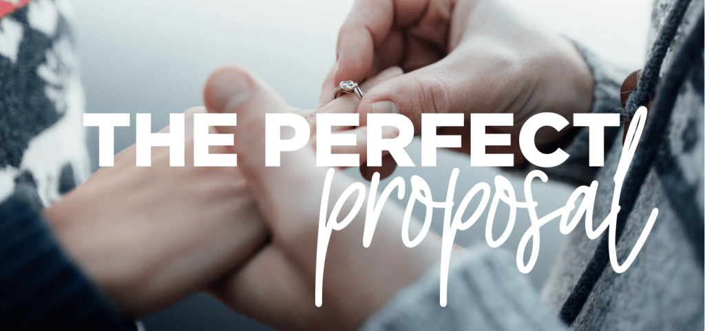 The Perfect Proposal