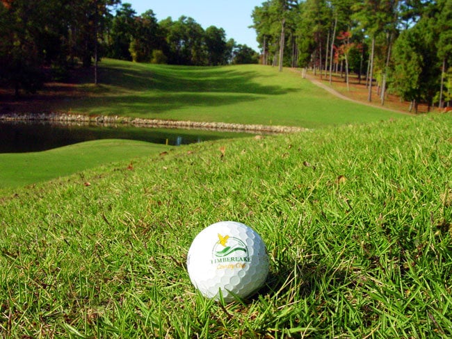 Timberlake | Chapin, SC