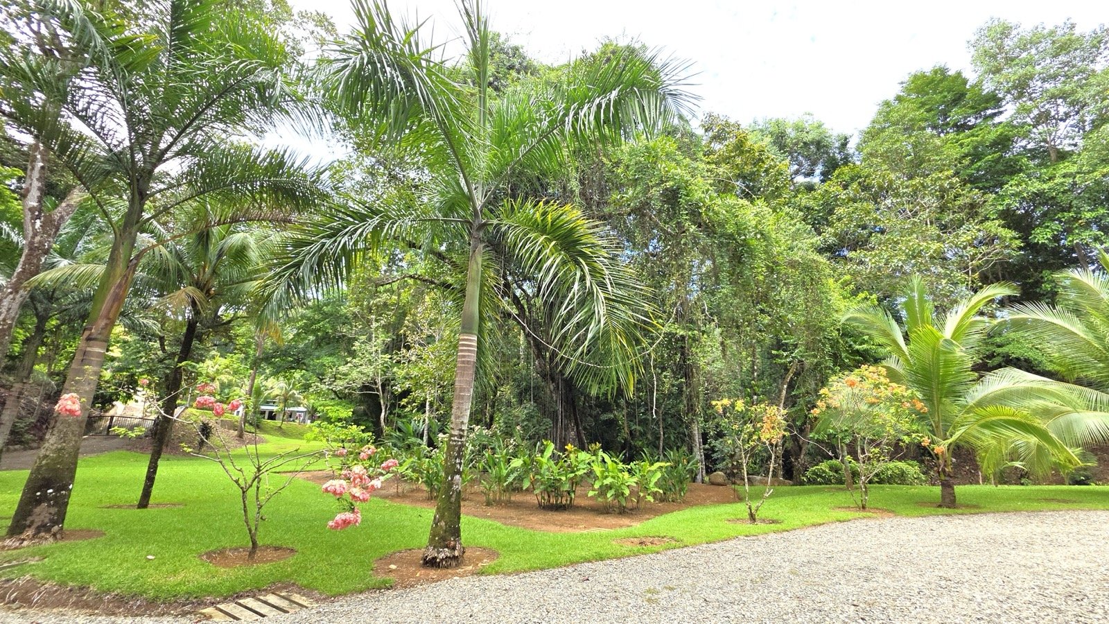 Refreshing Riverfront Retreat in Ojochal