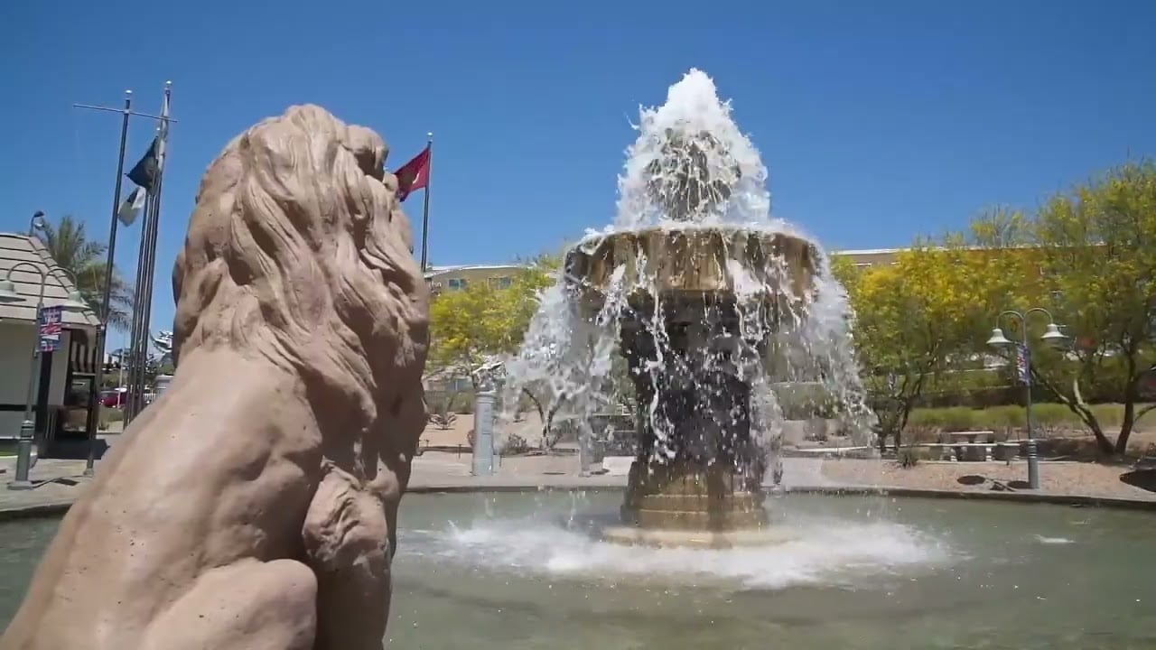 Life in Lake Havasu | Community, Events & Lifestyle