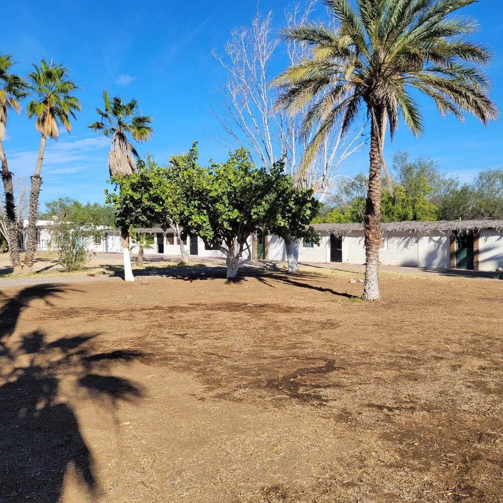 Compound Los Pinos
