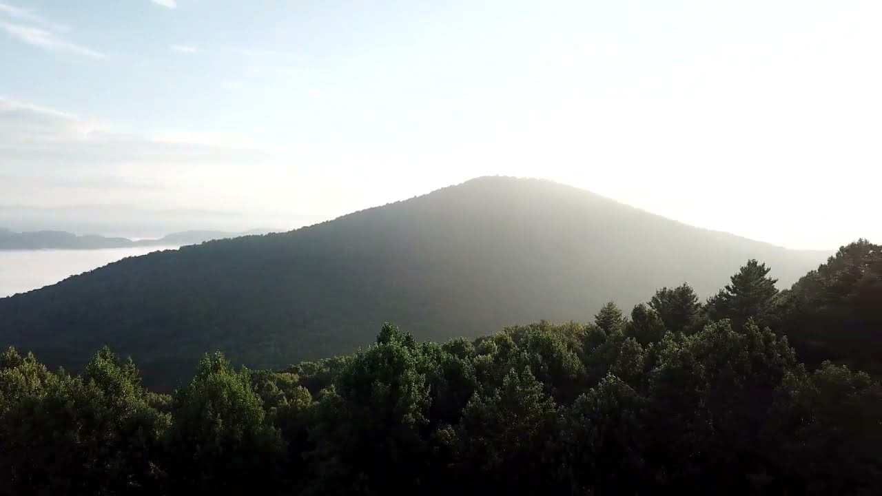 Sprout Mountain - The Progress