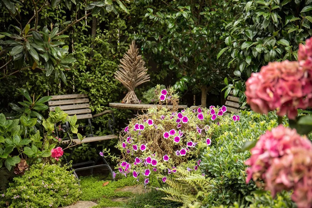 Camellia Cottage