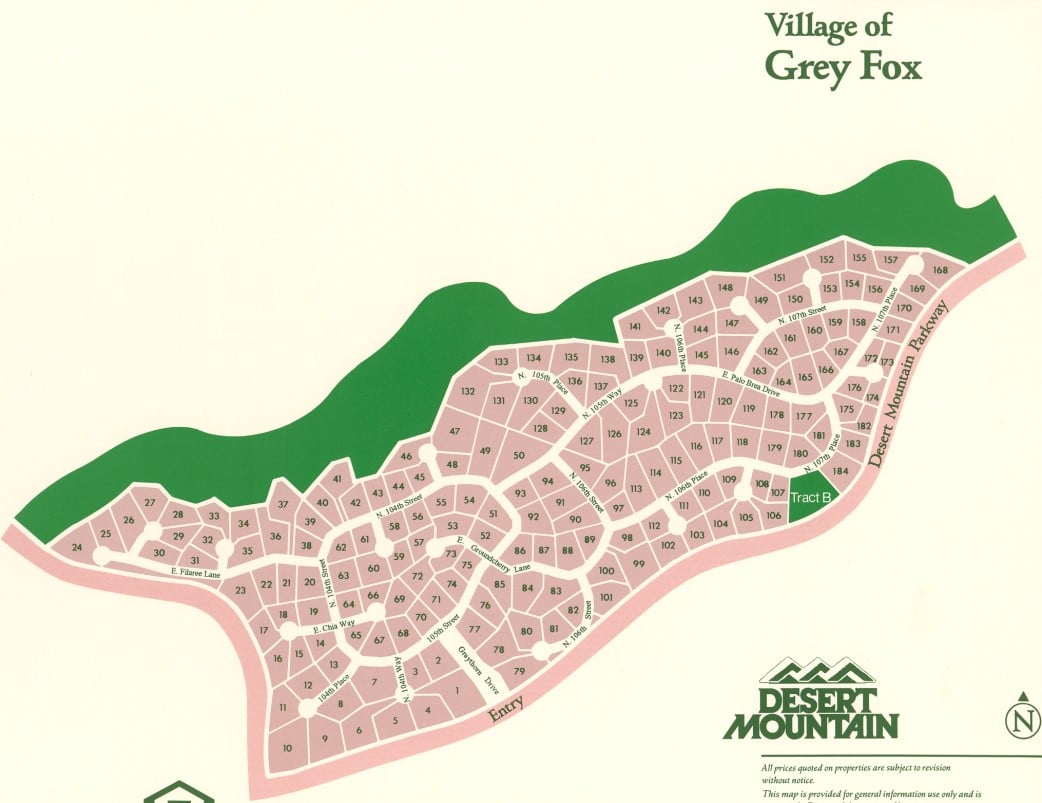 Grey Fox