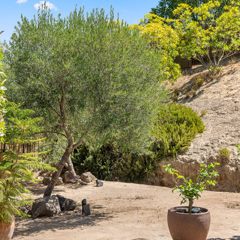 Discover Your Hidden Lakes Gem