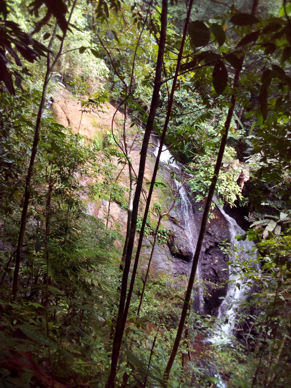 67 acres development (15 titled lots) with breathtaking views in Sierpe