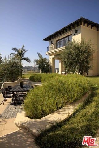 Paradise Grove