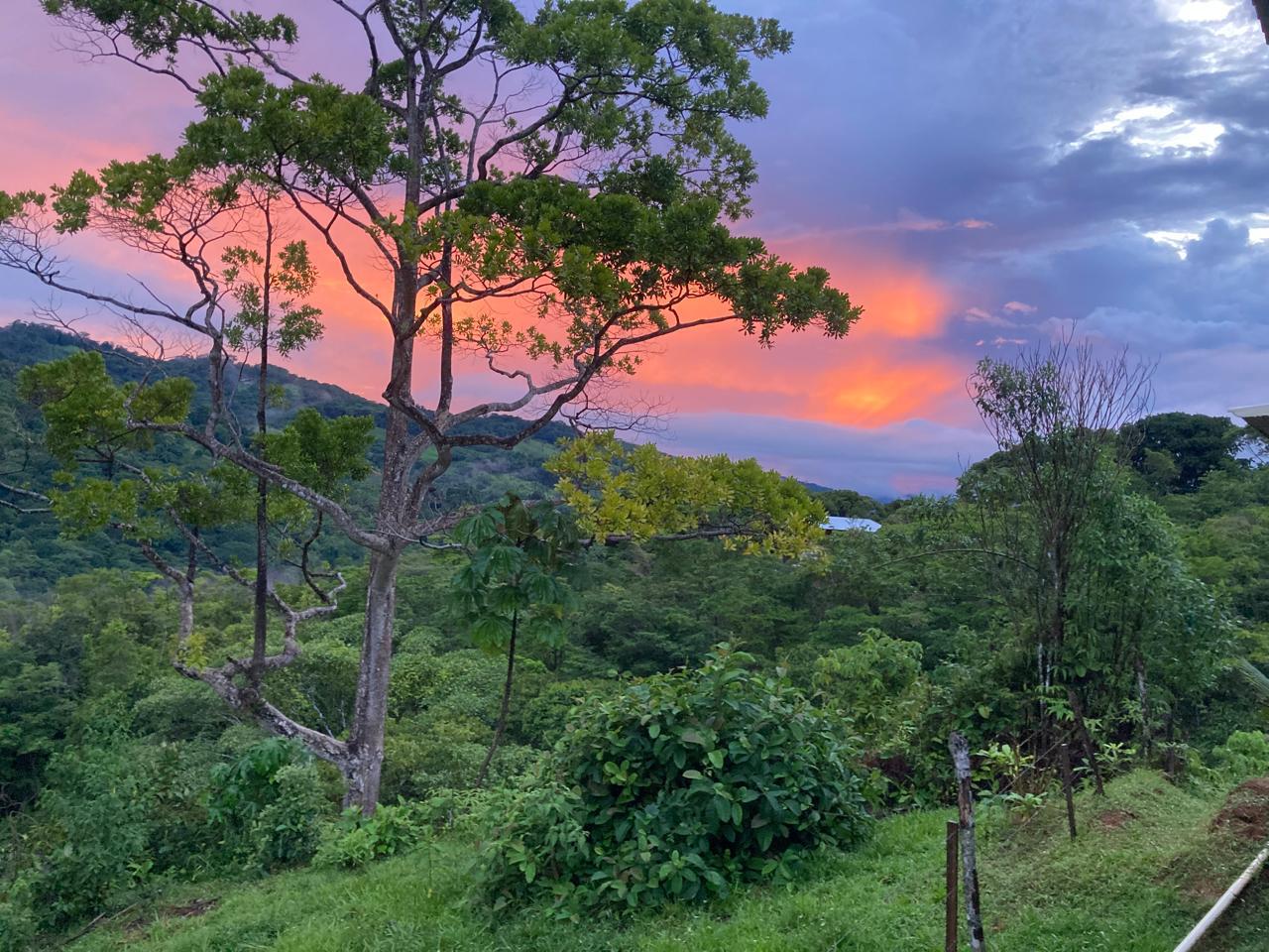 Mountain Home with Guest Cabin & Additional Building Site Near Nauyaca Waterfalls