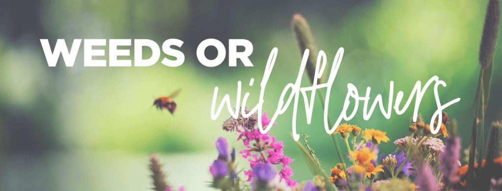 Best Grief and Sadness Advice