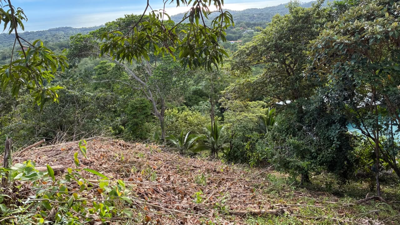 Spectacular Ocean View Lot in Ojochal Phase 9