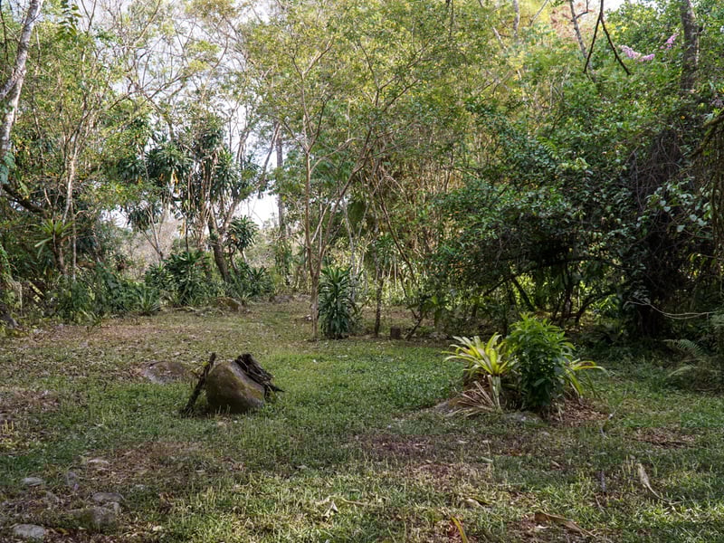 Reduced! - Newly Built Home Near Rivas with 6 Acres on the Buena Vista River