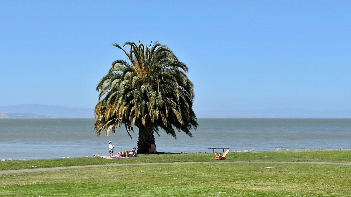 15 Sulgrave Lane, San Rafael