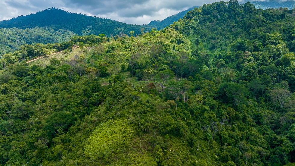 Whale Tail Views Luxury Waterfall Farm