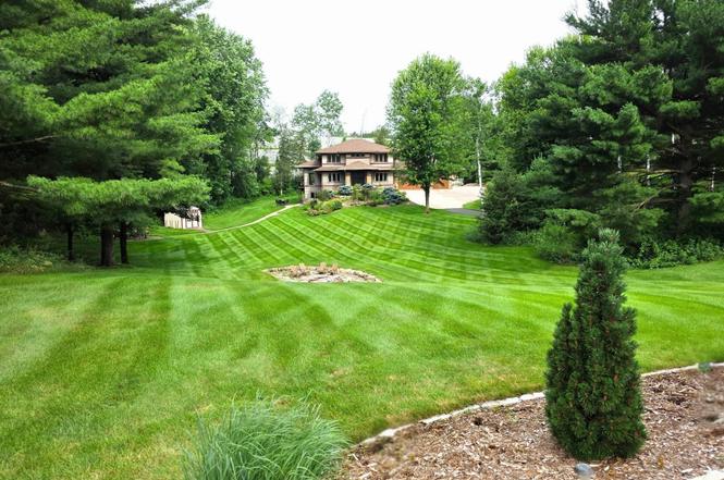 425 Jack Pine Dr