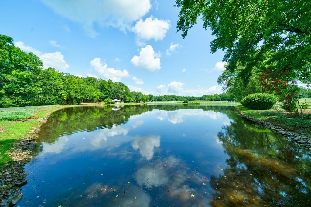 NC 330 Acre Legacy Equestrian Estate 