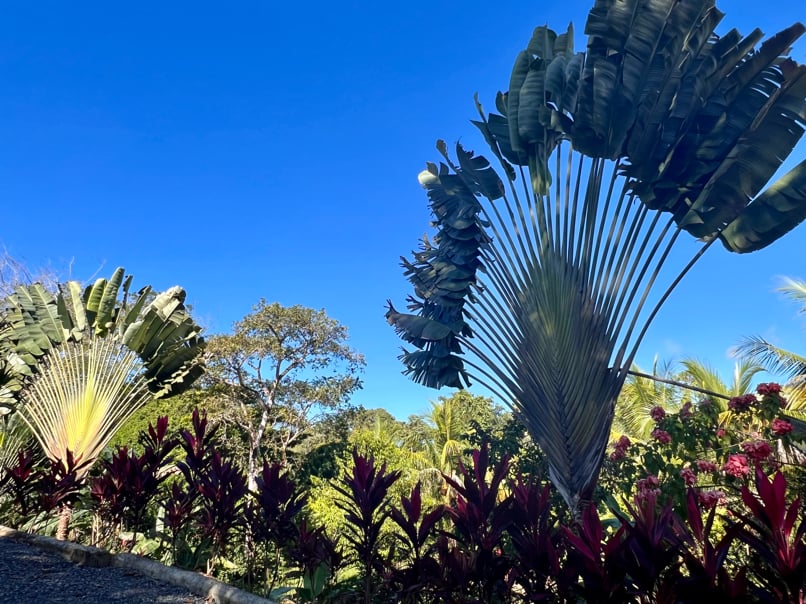 Peaceful 2-Bedroom Home in a Lush Garden in Ojochal