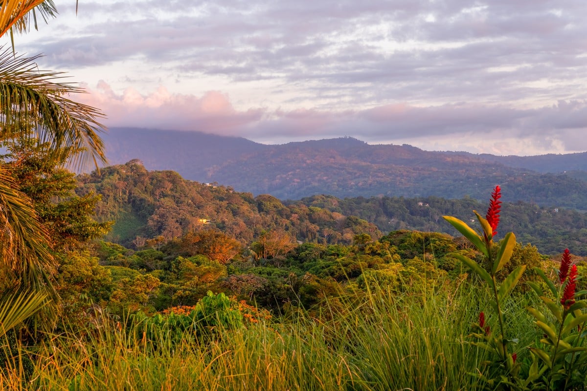  3 Bedroom Stunning Luxury Home Featuring Sweeping Valley & Ocean Views, 5.67 ACRES 