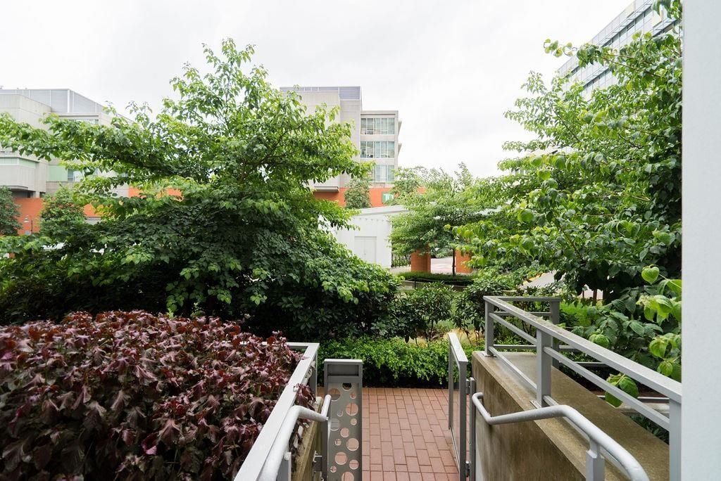 258 Nelson's Ct, #102