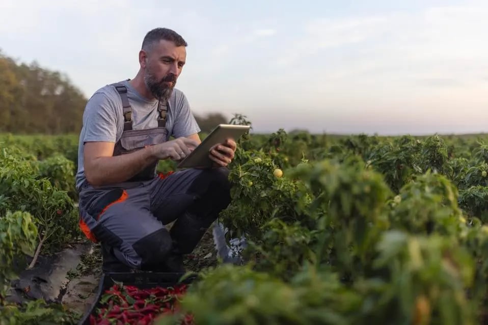 Climate Change Threatens Food Security—Can Data Be The Real Hero?