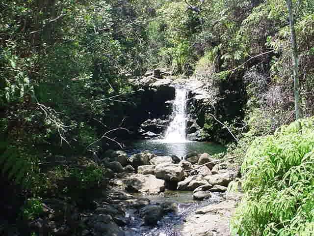 HAMAKUA COAST BIG ISLAND