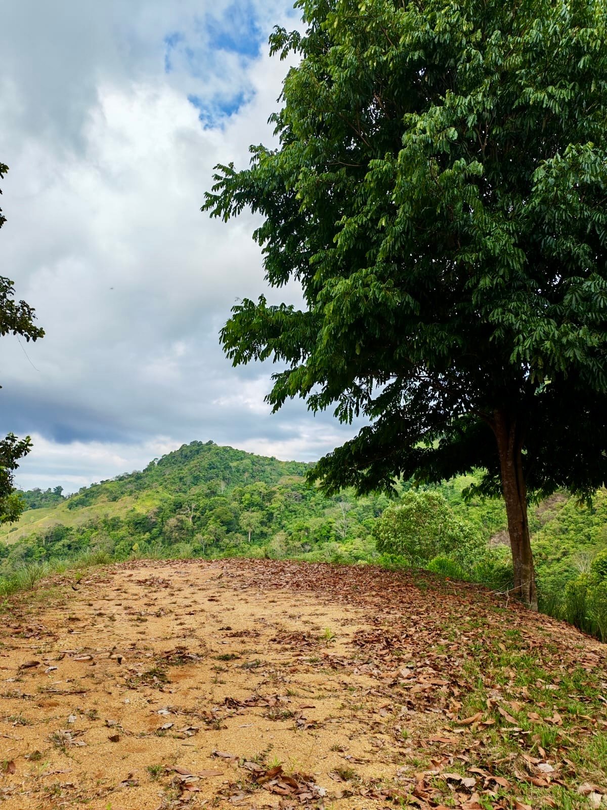 24.7-Acre Ocean View Eco Estate in San Cristóbal de Aguirre | 5 Building Sites