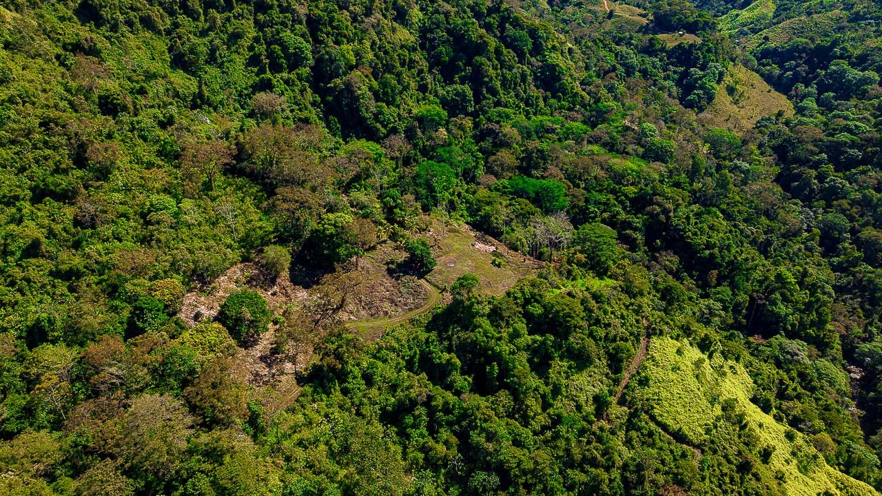 Whale Tail Views Luxury Waterfall Farm