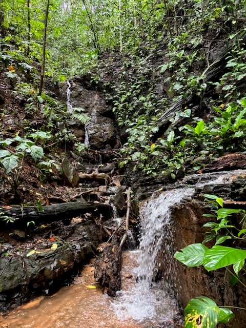 17.85 ACRES – Stunning Large Land With 2 Waterfalls Near Dominical Beach!!!