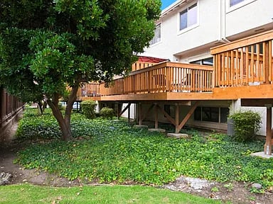 3923 Wildflower Cmn
