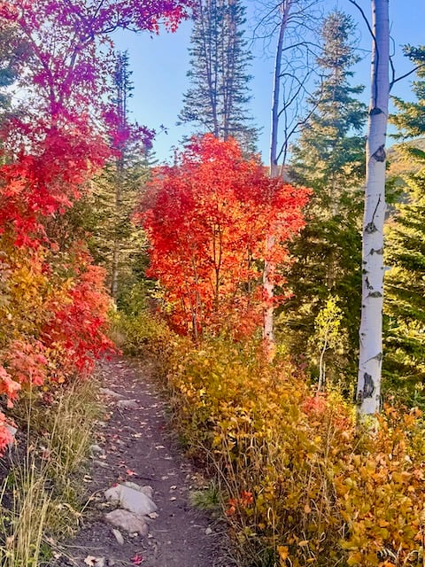 Fall Hikes in Utah: Golden Trails and Mountain Views Around Park City