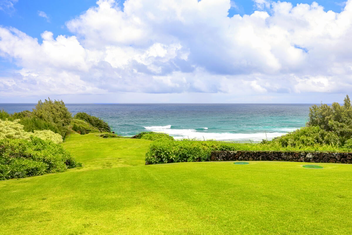 KAUAI 20 ACRE BEACHFRONT ESTATE