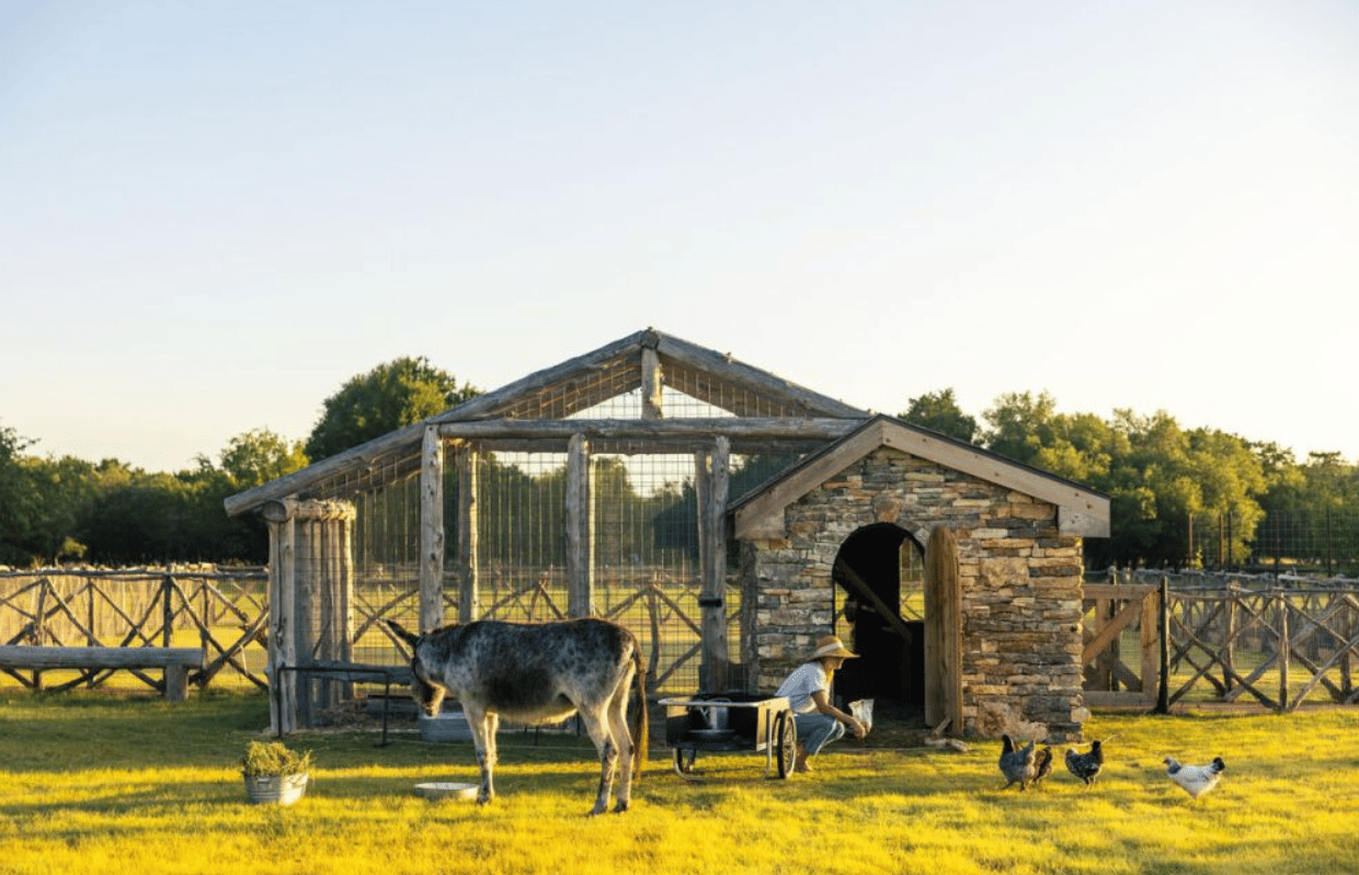 Ranch animal enclosure with a donkey, chickens, and a person beside a stone shelter.