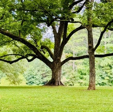 A Stunning Countryside Retreat Near Greenville and Anderson, SC: 800 Holiday Dam Road, Honea Path