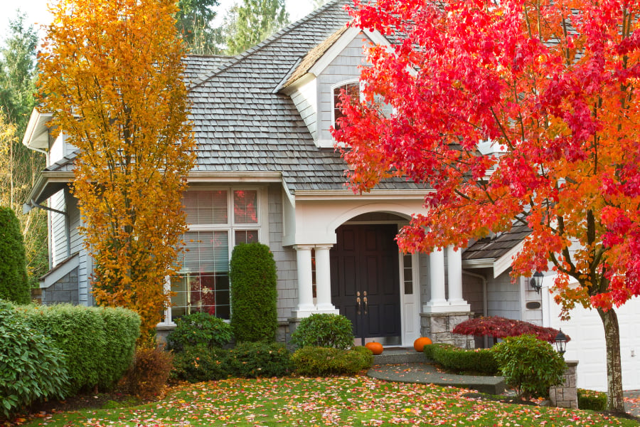 Home with fall trees