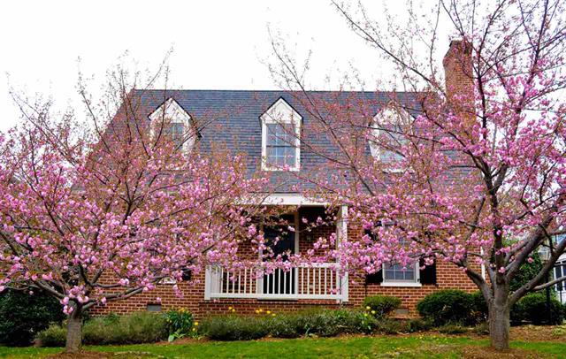 1126 Marion Dr