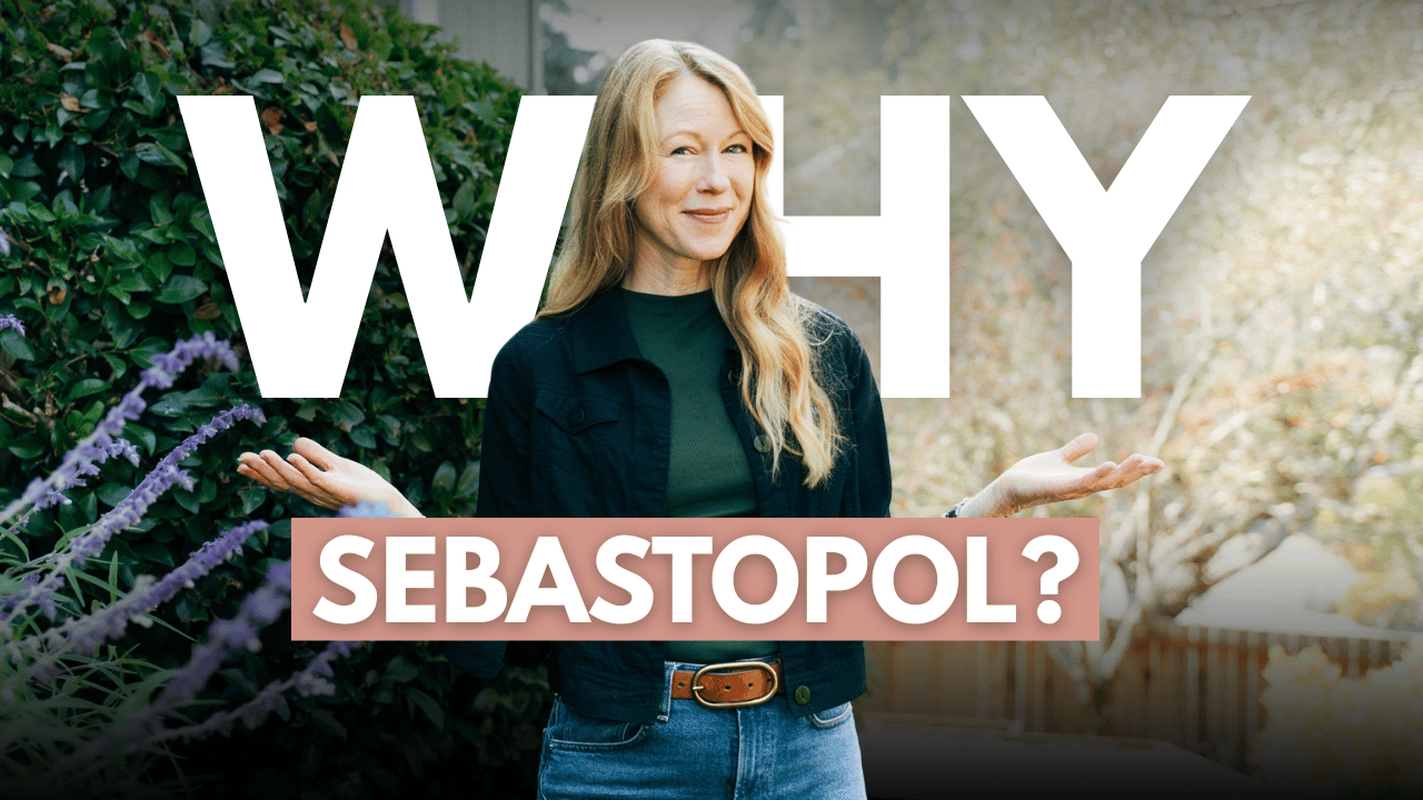 Why Sebastopol