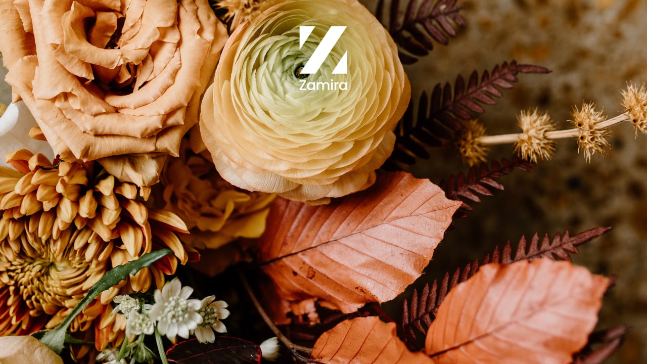 Marin Events Guide for November 2025