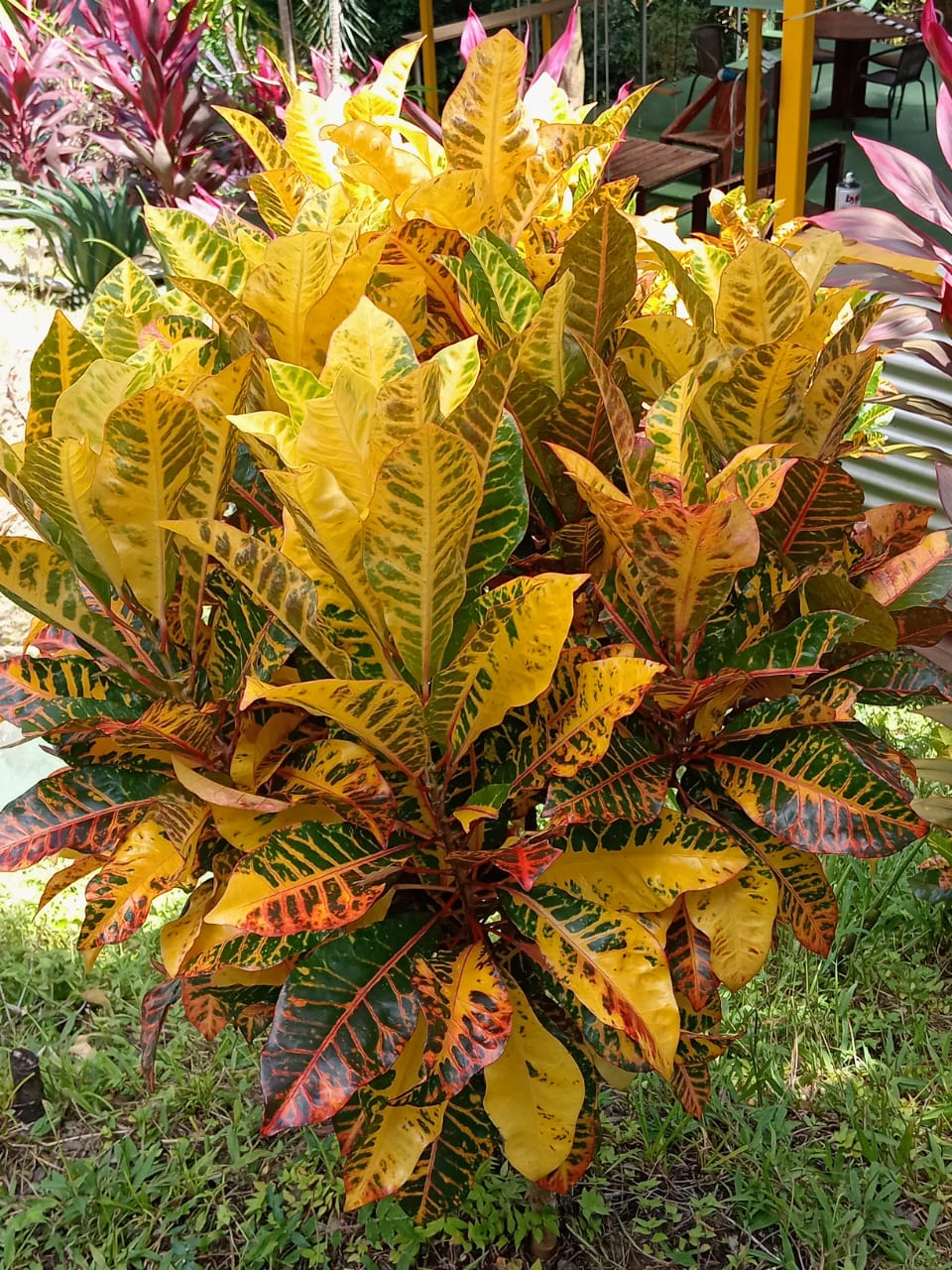 M. A. Ocean View Apt.