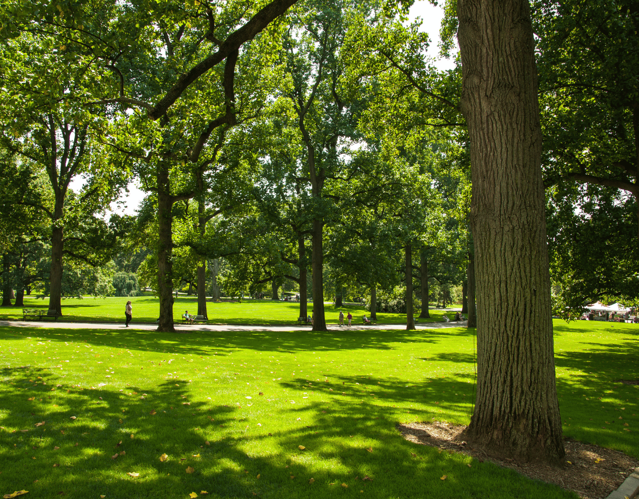 How to Choose the Right Neighborhood