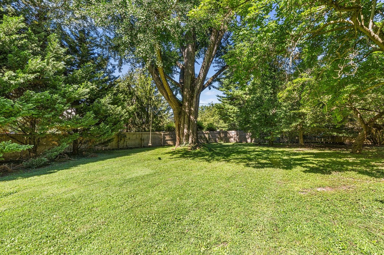 Grassy backyard with a large shade tree, wooden fence, and swing.