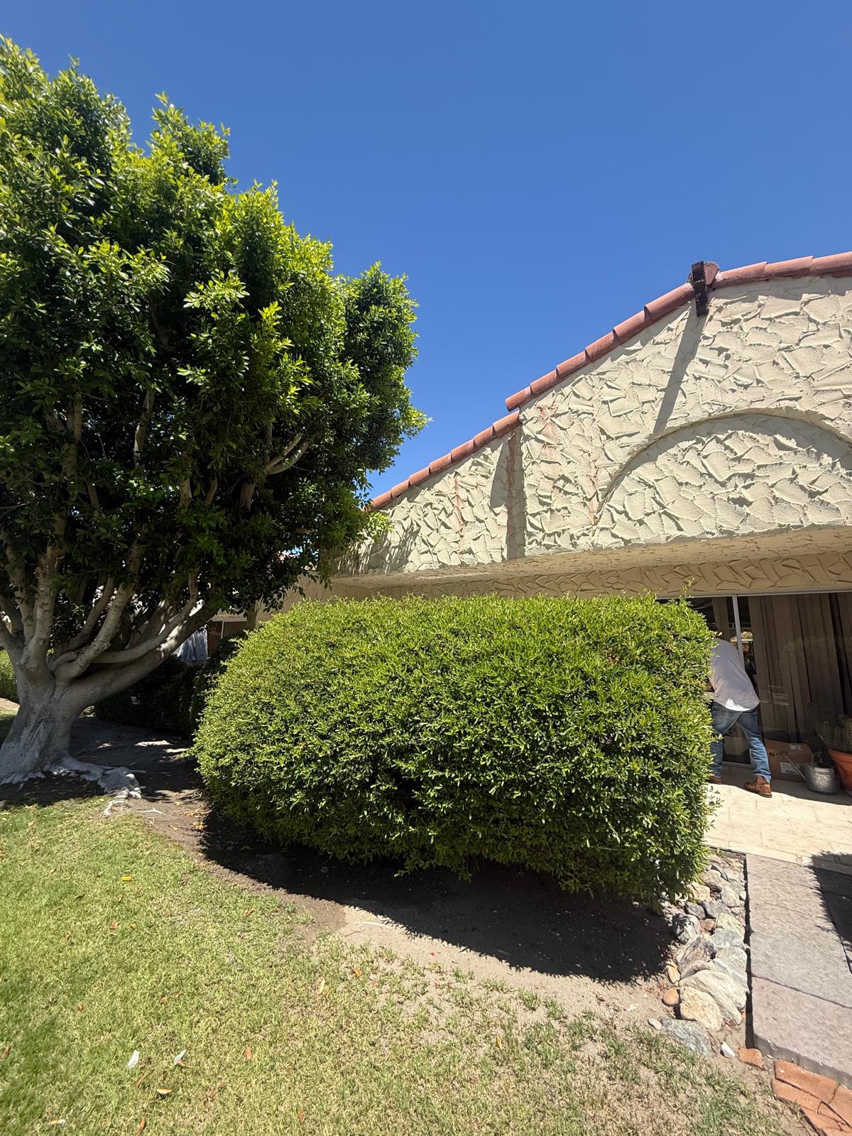 Palm Springs, CA 92264